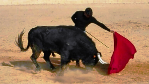 Borja Ximelis - Los otros pilares del éxito
