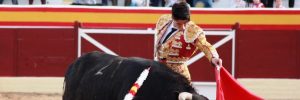 Borja Ximelis - Lucillos