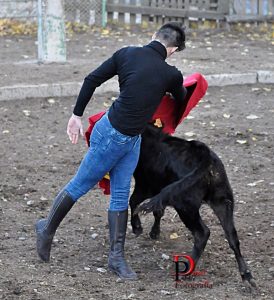 Borja Ximelis - Primera tienta tras lesión