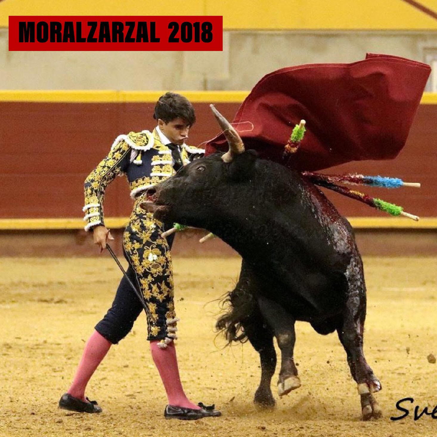 Moralzarzal 2018