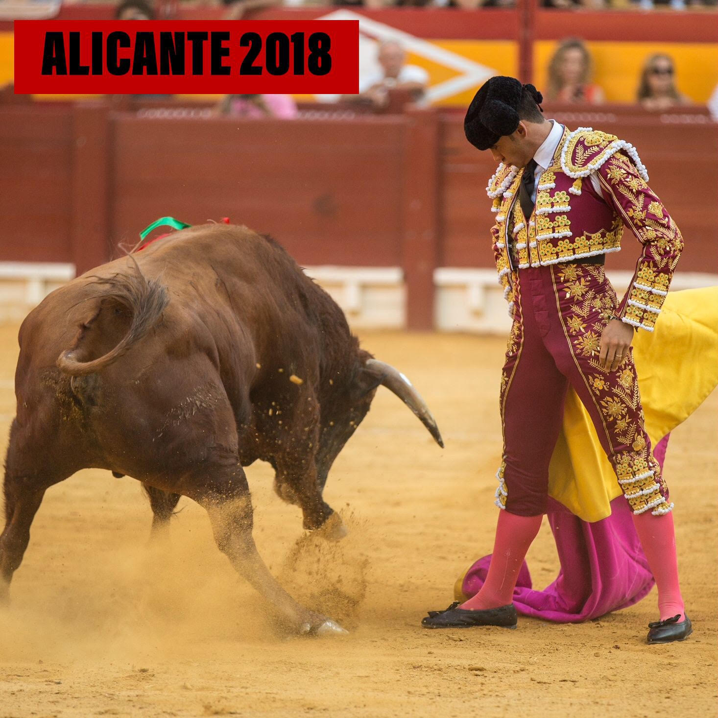 Alicante 2018