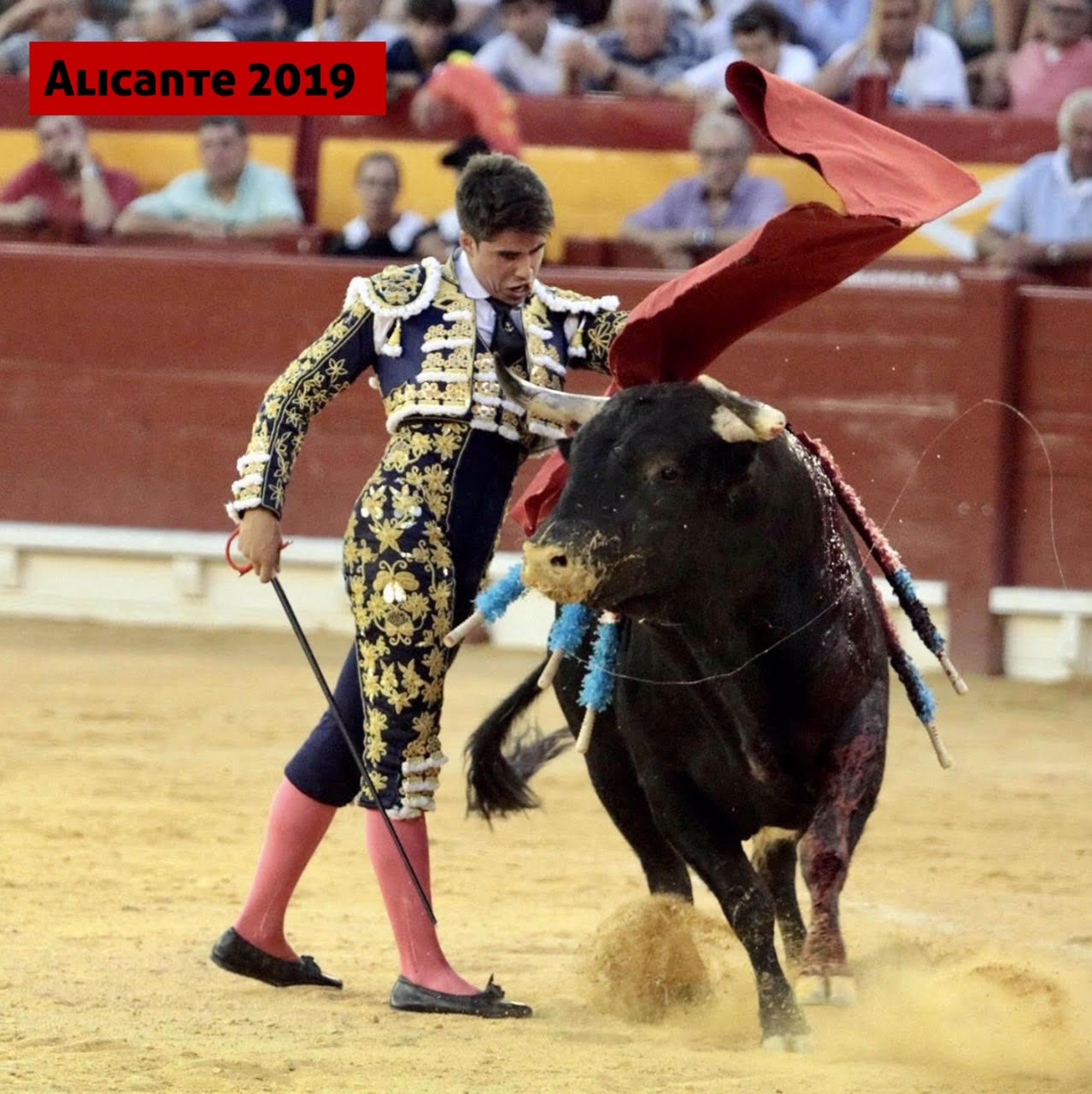 Alicante 2019
